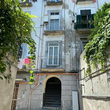 Panoramica Apartment
